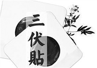 貼三伏貼注意事項 貼三伏貼要注意什么？