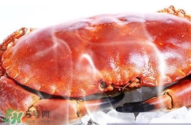 速凍面包蟹如何處理？活面包蟹怎么處理清洗