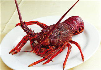 澳洲龍蝦是淡水的嗎？澳洲龍蝦是海鮮嗎？