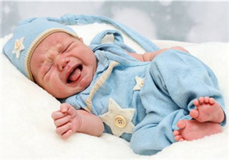 早產兒奶粉和普通奶粉的區(qū)別 早產兒奶粉的特點