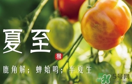 夏至是什么意思？夏至的習(xí)俗有哪些