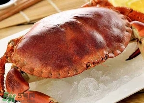 面包蟹可以直接冷凍么？熟凍面包蟹需要處理嗎