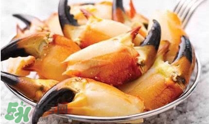 熟凍面包蟹好吃嗎？面包蟹是鮮活的好還是熟凍的好