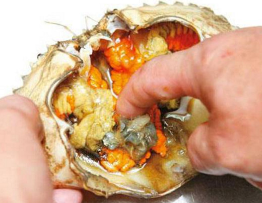 活面包蟹怎么打開？活面包蟹怎么殺