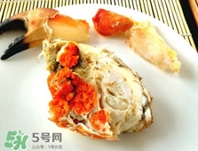 面包蟹是黃道蟹嗎？黃道蟹和面包蟹一樣嗎