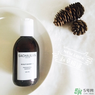 三茶官sachajuan洗發(fā)水多少錢_專柜價格 三茶官sachajuan洗發(fā)水多少錢_專柜價格