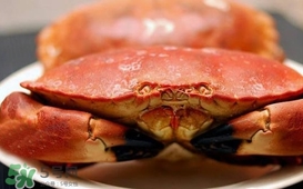 熟凍面包蟹蒸多長時(shí)間？熟凍面包蟹煮多長時(shí)間