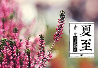 夏至是什么意思？夏至的習(xí)俗有哪些