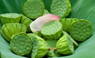 新鮮蓮子什么時候有？新鮮蓮子幾月有？