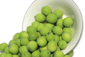 新鮮蓮子什么時候有？新鮮蓮子幾月有？