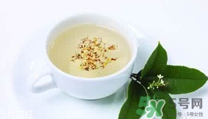 葛根茶多少錢一盒？2017葛根茶價(jià)格