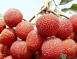 荔枝吃多了會(huì)胖嗎？吃荔枝會(huì)長胖嗎？