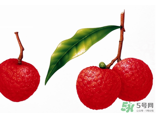 荔枝吃多了會流鼻血嗎？吃荔枝會流鼻血嗎？