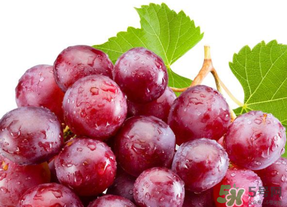 提子皮澀怎么處理？提子皮澀能吃嗎？