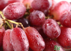 提子皮澀怎么處理？提子皮澀能吃嗎？