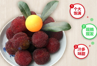 楊梅泡酒能放多久？楊梅酒保質(zhì)期