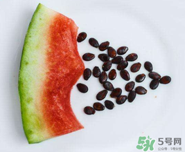 西瓜籽怎么種植？西瓜籽能種出西瓜嗎？