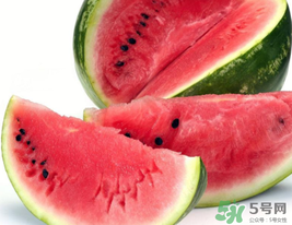 西瓜籽怎么種植？西瓜籽能種出西瓜嗎？