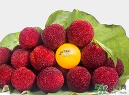 喝楊梅酒會(huì)拉肚子嗎？楊梅酒可以治療拉肚子嗎？