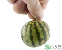 小西瓜叫什么名字？小西瓜是轉(zhuǎn)基因嗎？