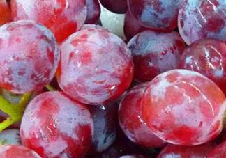 提子皮澀怎么處理？提子皮澀能吃嗎？