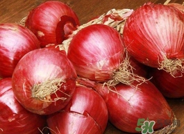 紅皮洋蔥怎么做好吃？紅洋蔥和紫洋蔥的區(qū)別是什么