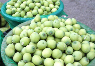 新鮮蓮子什么時候有？新鮮蓮子幾月有？