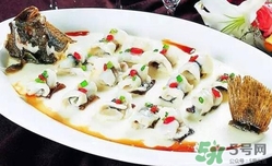 多寶魚是海魚嗎？多寶魚是海魚還是淡水魚