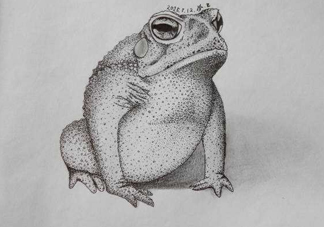 癩蛤蟆趴在腳面上是什么意思？癩蛤蟆趴到腳面上歇后語