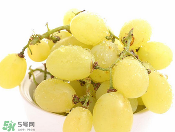 馬奶葡萄什么時候上市？馬奶葡萄2017上市時間