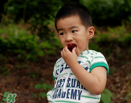 楊梅汁弄到白衣服上怎么洗？白色衣服上的楊梅汁怎么洗？