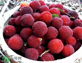 楊梅汁弄到白衣服上怎么洗？白色衣服上的楊梅汁怎么洗？