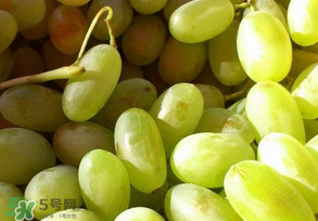 馬奶葡萄怎么保存？馬奶葡萄保存方法