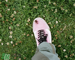 stussy與vans2017春夏系列聯(lián)名鞋子什么時候發(fā)售？