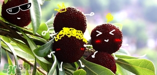 楊梅發(fā)霉了還能吃嗎？吃了發(fā)霉的楊梅會(huì)怎樣？