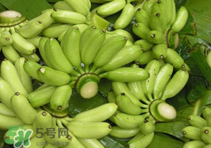 芭蕉可以放冰箱嗎？芭蕉能放冰箱保存嗎