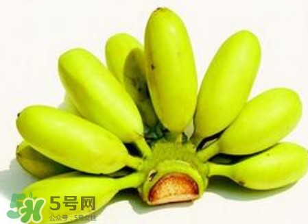 芭蕉和桃子能一起吃嗎？芭蕉可以和桃子一起吃嗎