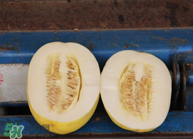 黃金瓜孕婦能吃嗎？孕婦可以吃黃金瓜嗎？