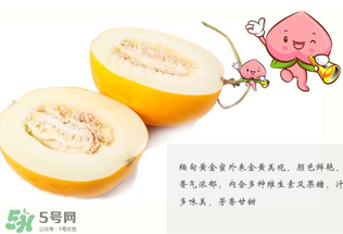 黃金瓜熱量高嗎？黃金瓜會(huì)胖嗎？