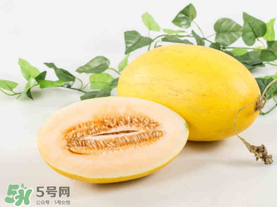 黃金瓜是熱性還是涼性？黃金瓜是涼性的嗎？