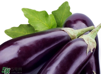 茄子怎么挑選？如何挑選茄子？