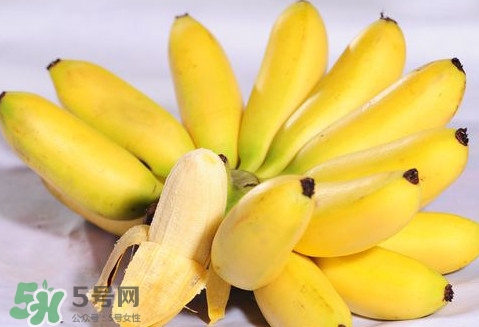 芭蕉是堿性還是酸性？芭蕉是什么季節(jié)的水果