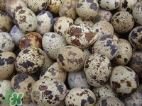 孕婦吃鵪鶉蛋會(huì)長(zhǎng)斑嗎？孕婦吃鵪鶉蛋好還是雞蛋好？