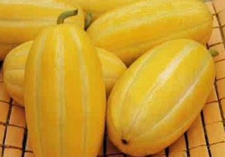 黃金瓜什么時(shí)候成熟？黃金瓜什么時(shí)候吃？