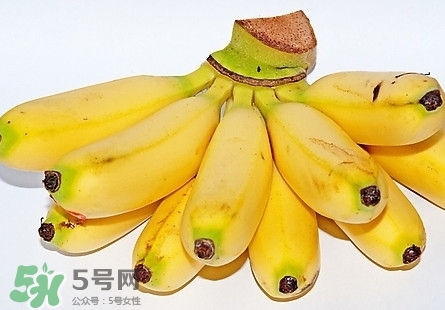 芭蕉熱量高嗎？芭蕉可以減肥嗎