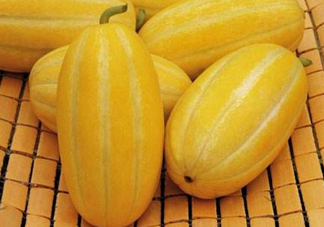 黃金瓜熱量高嗎？黃金瓜會(huì)胖嗎？