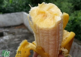 芭蕉是堿性還是酸性？芭蕉是什么季節(jié)的水果