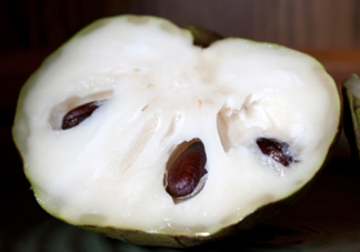 番荔枝什么時候成熟？番荔枝什么時候開花？