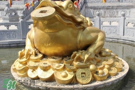 蟾蜍能活多久？蟾蜍可以活多少年