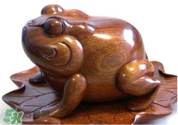 蟾蜍有什么寓意？為什么蟾蜍被寓意為招財(cái)？